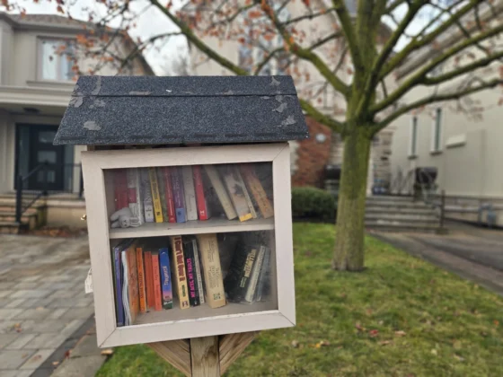 A small outdoor library containing books behind a glass door.