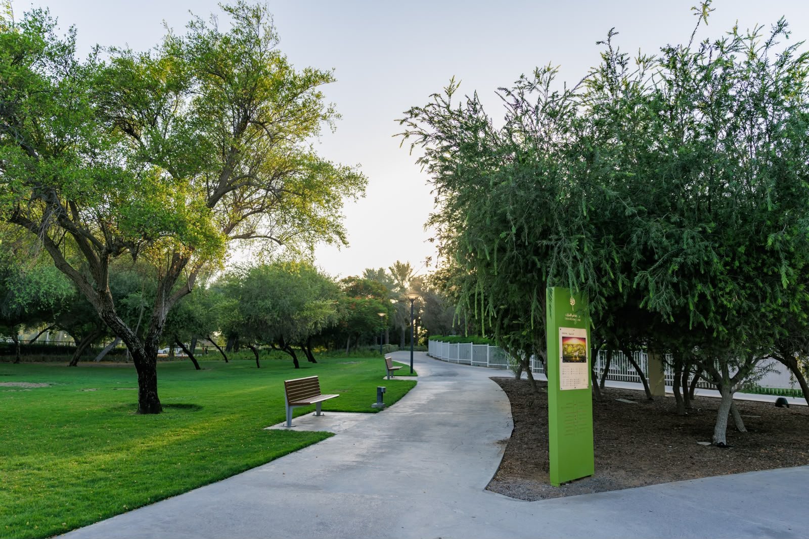 A shaded walking path between lawns and trees at Umm Al Emarat Park
