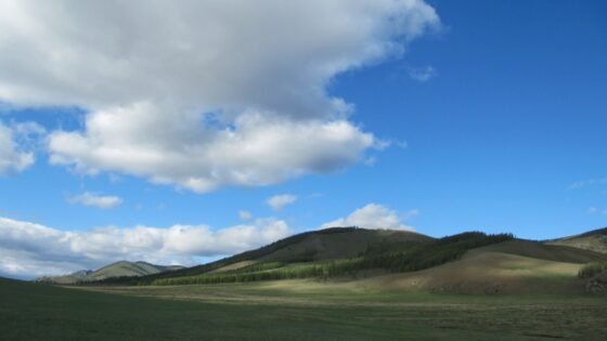 Steppe in Mongolia’s Gorkhi-Terelj National Park, photographed in June 2011. An illustrative archive landscape, not one of the restoration sites described.