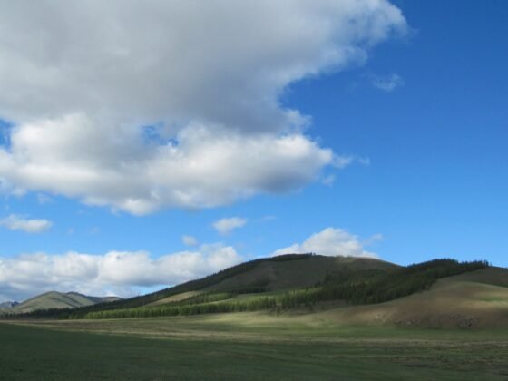 Steppe in Mongolia’s Gorkhi-Terelj National Park, photographed in June 2011. An illustrative archive landscape, not one of the restoration sites described.