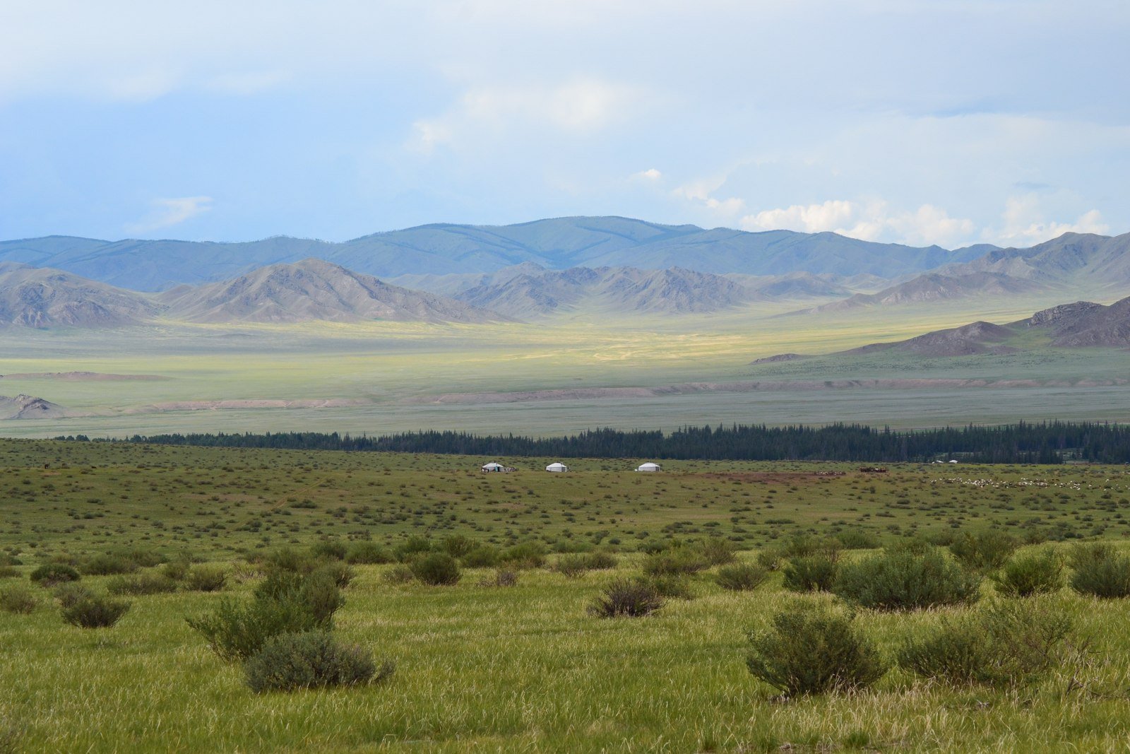 A broad rangeland landscape with distant gers, livestock and mountains